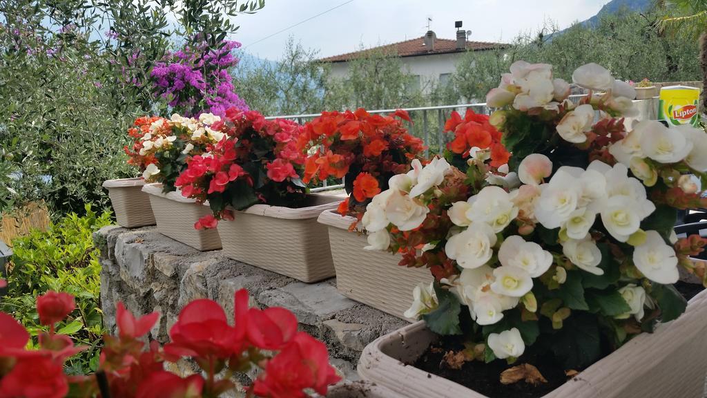 Hotel Augusta Garni Limone sul Garda Exterior foto