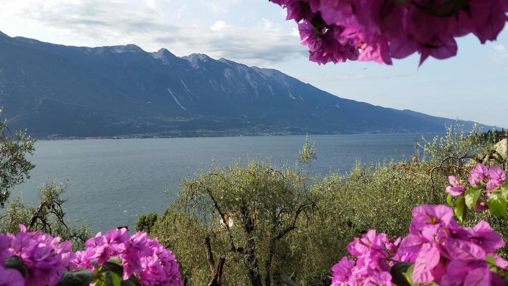 Hotel Augusta Garni Limone sul Garda Cameră foto