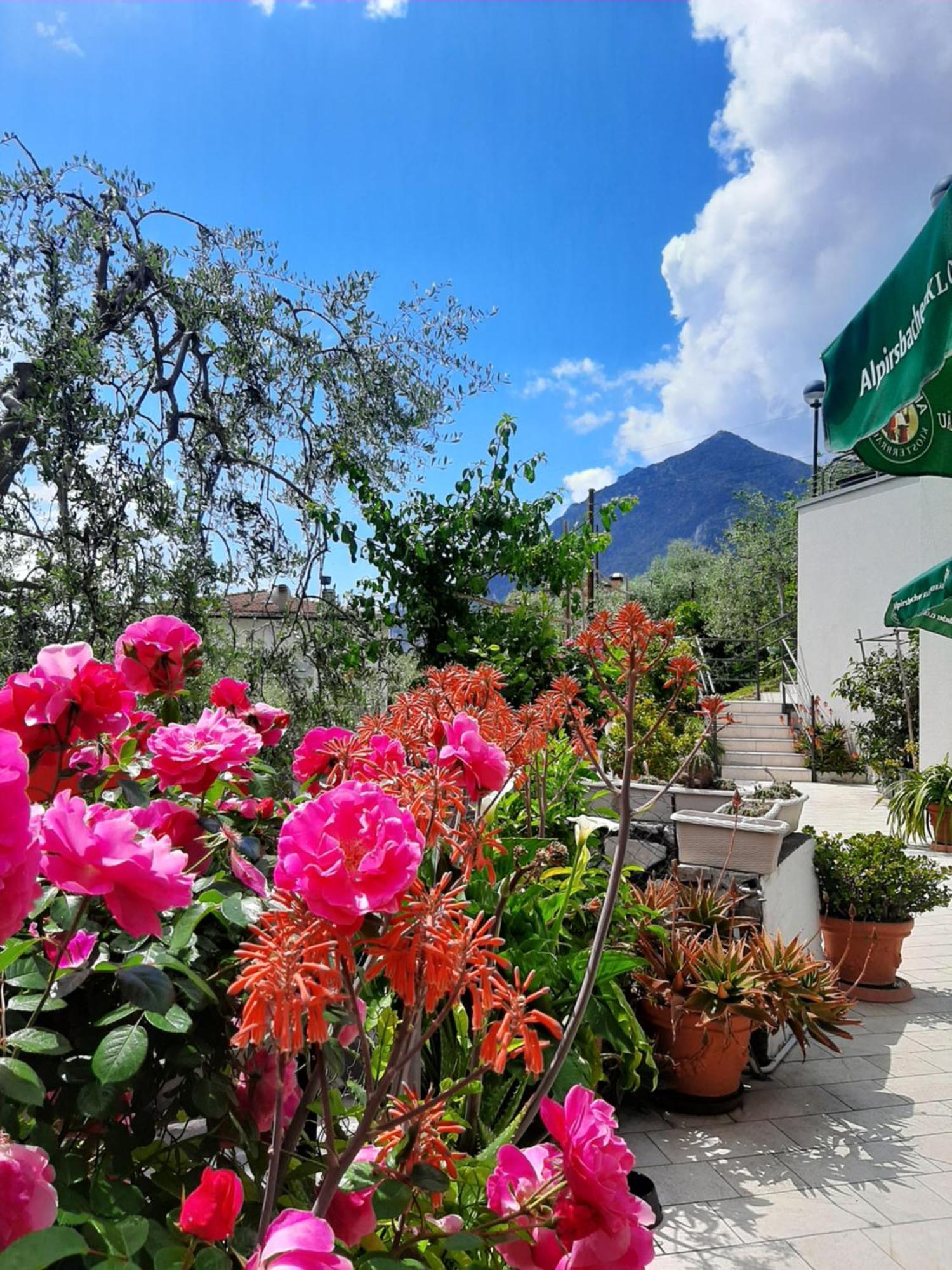 Hotel Augusta Garni Limone sul Garda Exterior foto